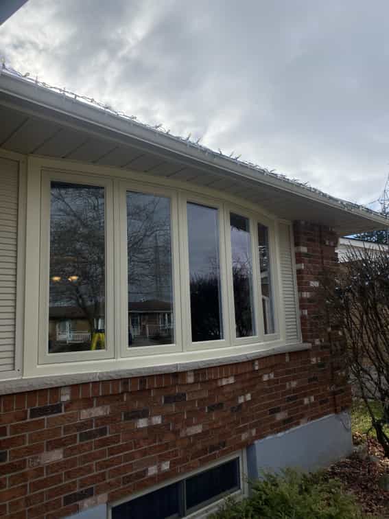 Custom Door & Window Installation